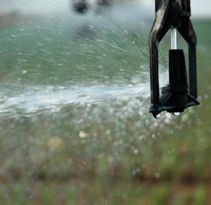 Recycler les eaux usées pour l’irrigation