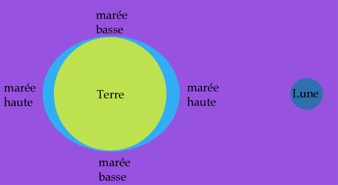 les marees explication simple