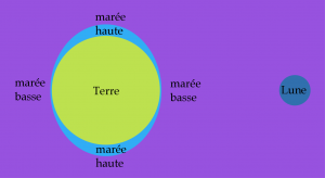 maree correcte