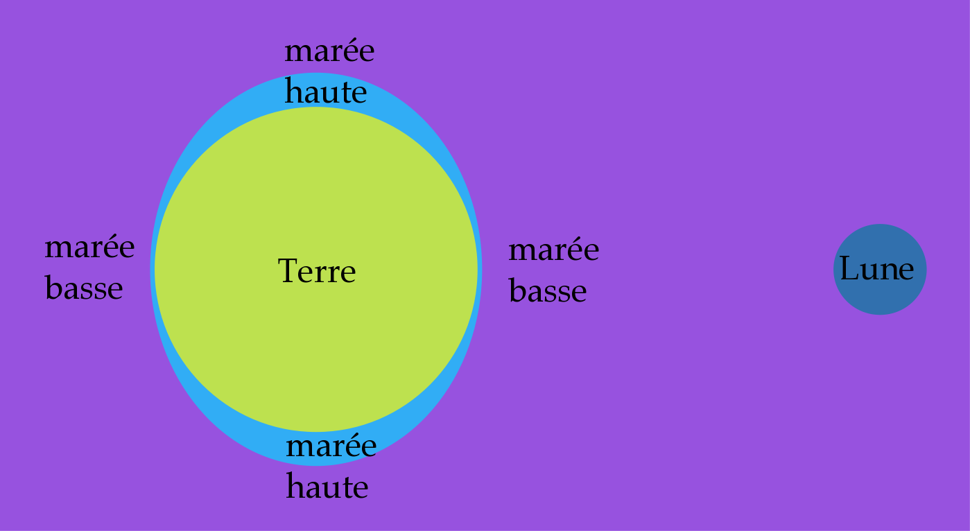 les marees explication simple