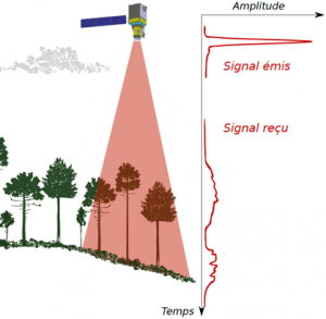 Plonger au cœur de la forêt par télédétection laser