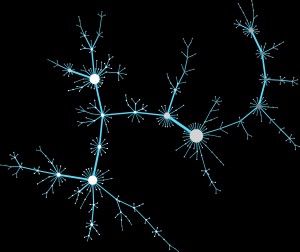 Arbre de diffusion d'informations dans un réseau social de type blog.