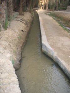 Canal d'irrigation de l'oasis de Tozeur en Tunisie.