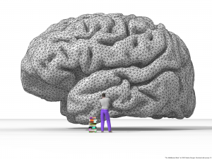 Le cerveau est sans doute l’objet le plus complexe jamais étudié.